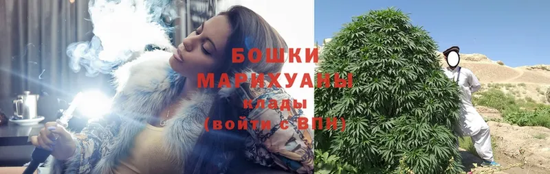 Бошки марихуана OG Kush  закладка  Ветлуга 